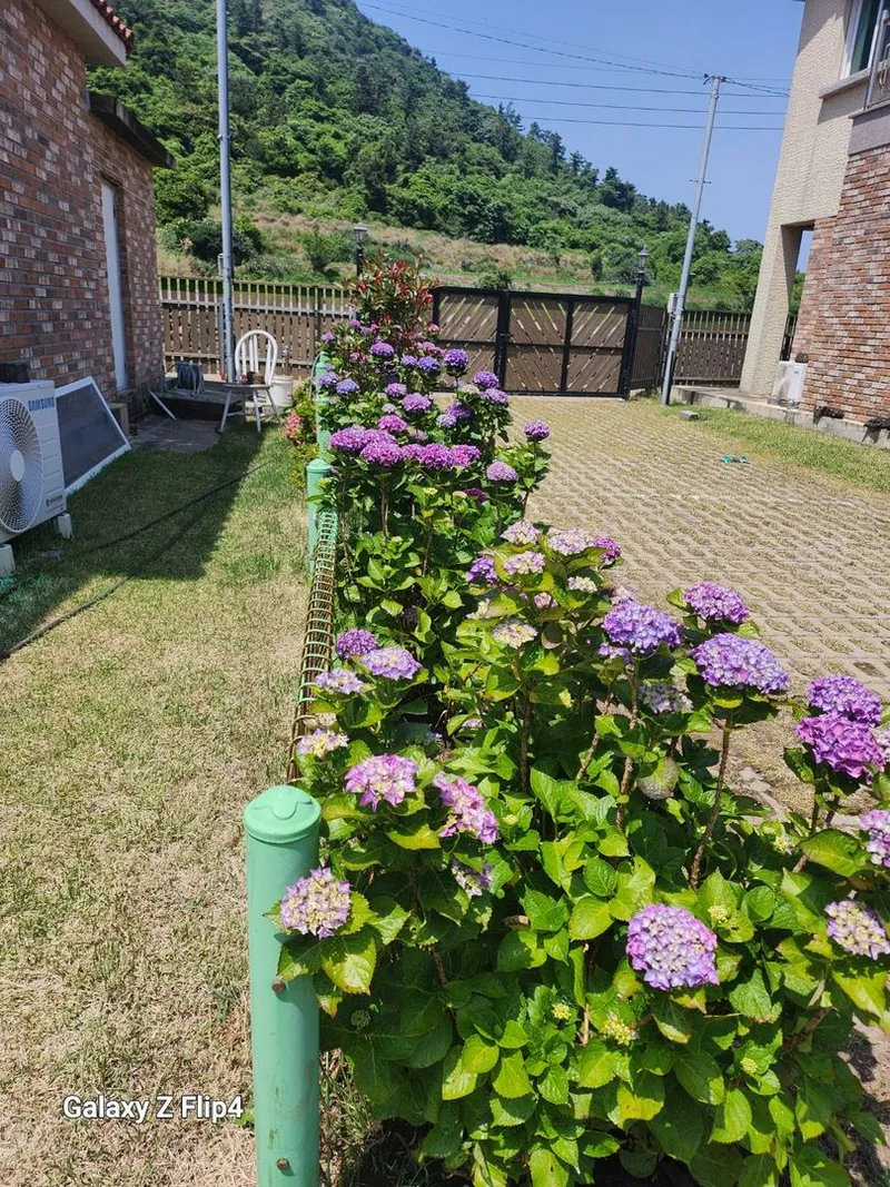 [제주 한경] 수월봉 단독 복층독채 24