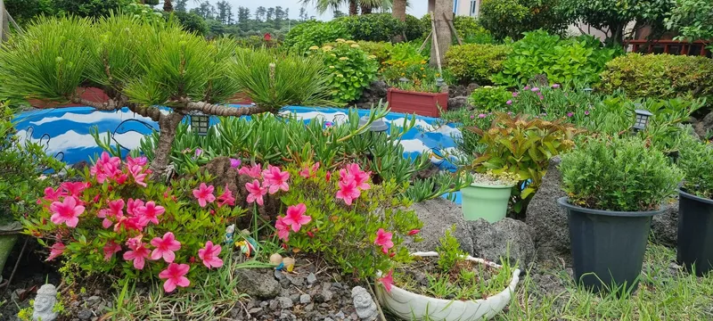 [Gujwa, Jeju] European-style accommodation, pet-friendly one-room duplex Blue Jeju #Large dogs allowed 38