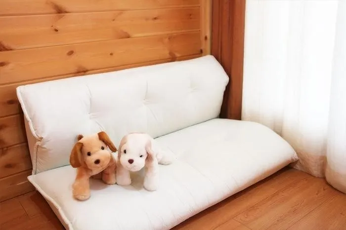 [Gapyeong] The best healing dog pension with beautiful nature #Snow White 10