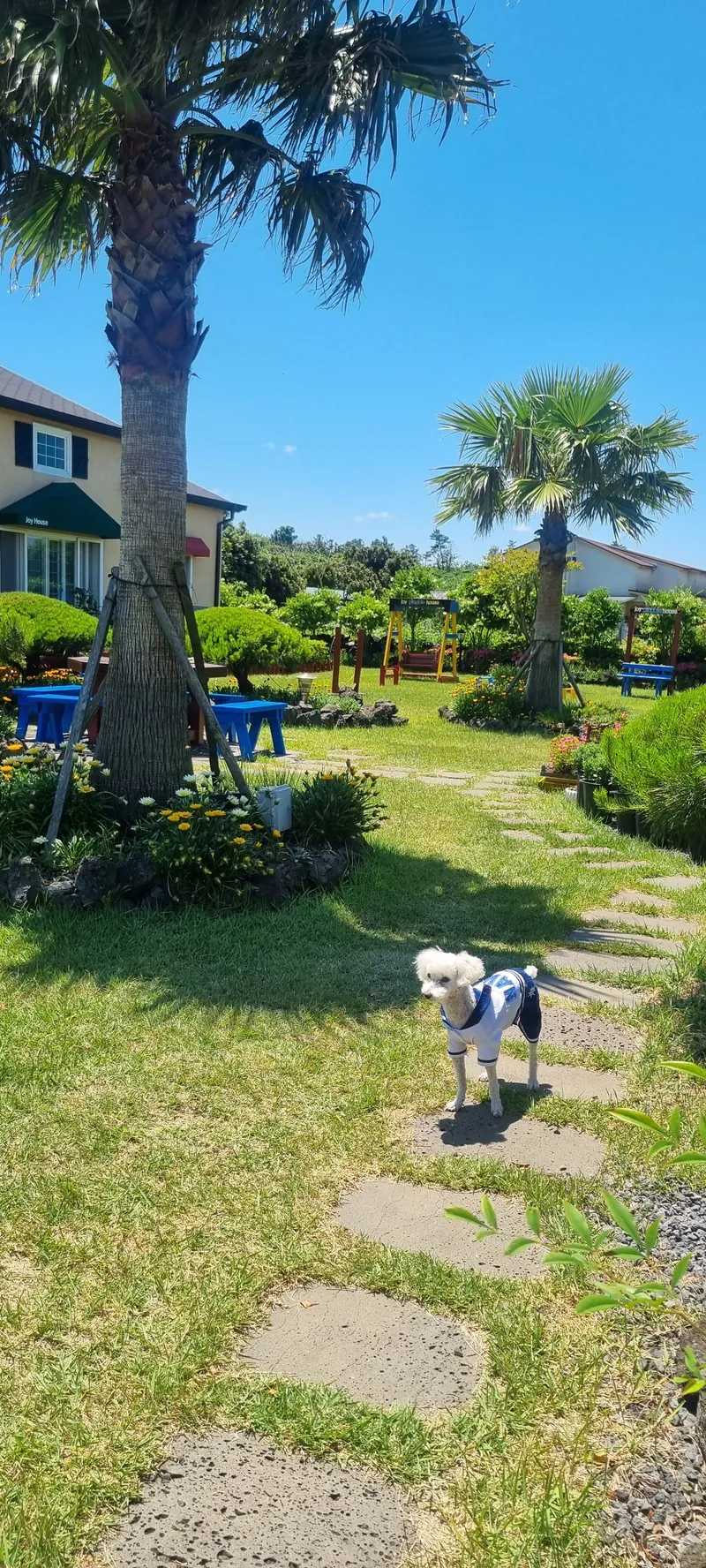 [Gujwa, Jeju] European-style accommodation, pet-friendly one-room duplex Blue Jeju #Large dogs allowed 34