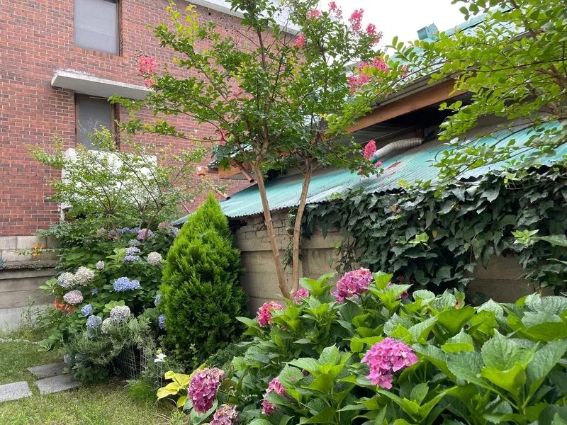 [Gangneung] Quiet residential area one-room house Studio 101 10