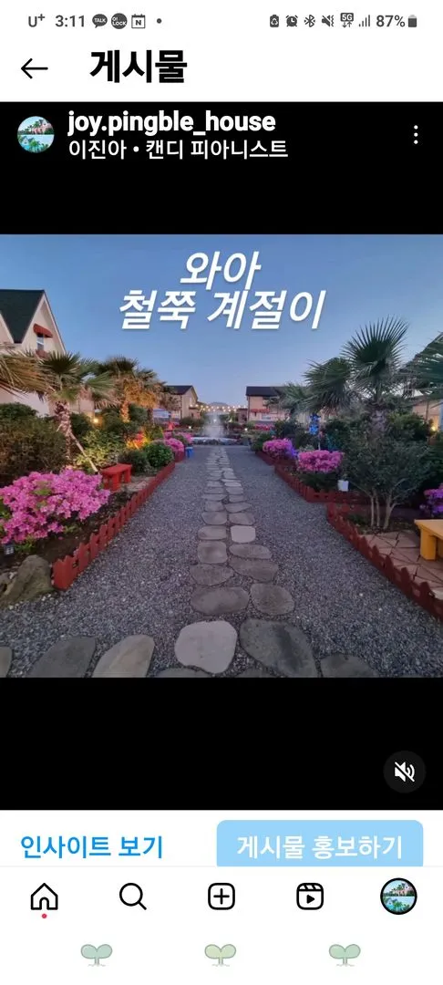 [제주 구좌] 유럽풍숙소 애견동반가능한 원룸복층주택 핑크오름 #대형견가능 112