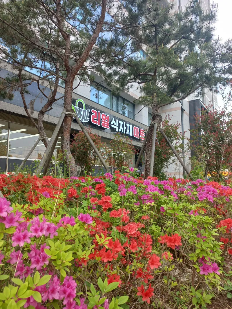 [광주 북구] 솔로몬의 방 28