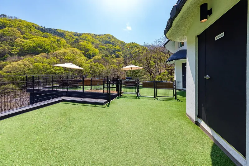 [Gapyeong] Pet-friendly pension with private terrace and private pool #Mozzarella2 11