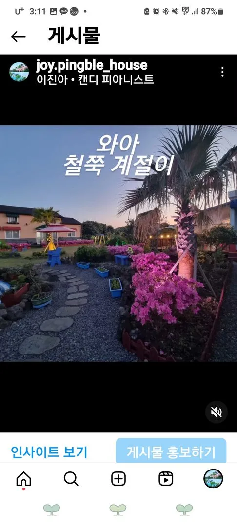 [제주 구좌] 유럽풍숙소 애견동반가능한 원룸복층주택 핑크오름 #대형견가능 113