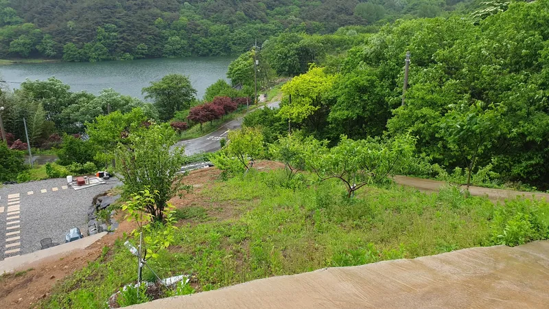 [전남 구례] 산동 수목원과 휴양림사이 숲속의 작은집 독채 마운틴 호수뷰 42