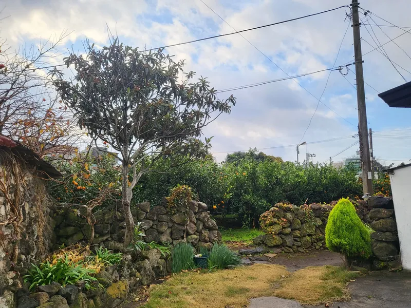 [Aewol, Jeju] #Private #Pets allowed #Free tangerine experience #BBQ 15
