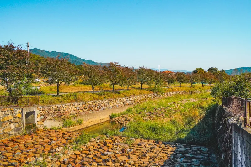 [Ulju, Ulsan] A detached Hanok with a mountain view, lawn, and private tea room 19