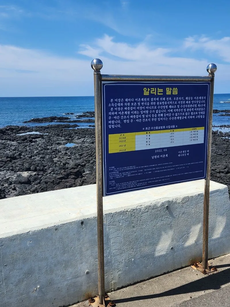 [Namwon, Seogwipo] 30 seconds walk from the beach # Terrace restaurant # 1st class kitchen 25