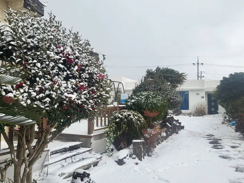 [Seongsan, Seogwipo] A pretty independent house with a yard located in Honinji Village near the sea 25