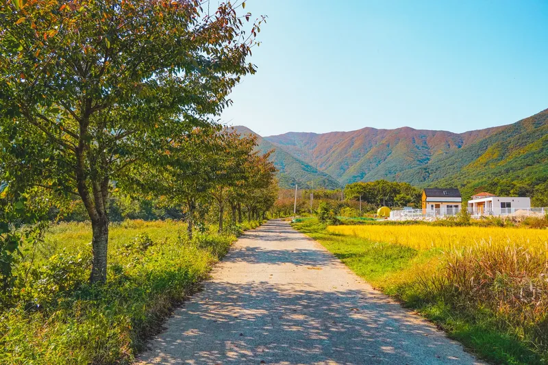 [Ulju, Ulsan] A detached Hanok with a mountain view, lawn, and private tea room 17