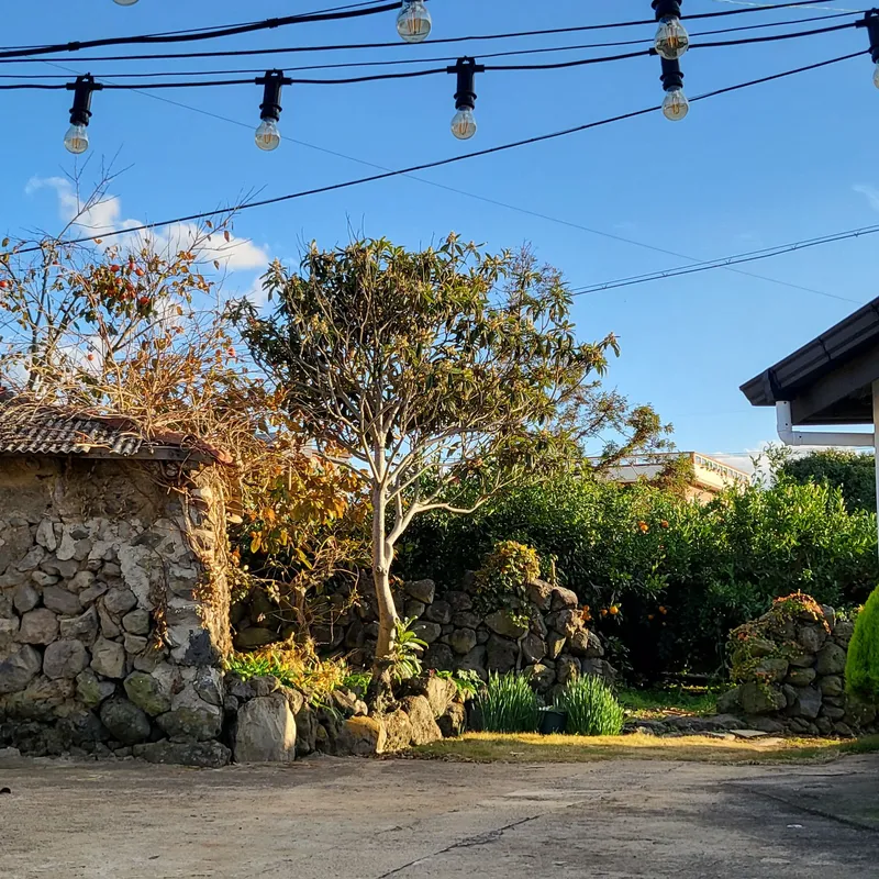 [Aewol, Jeju] #Private #Pets allowed #Free tangerine experience #BBQ 16
