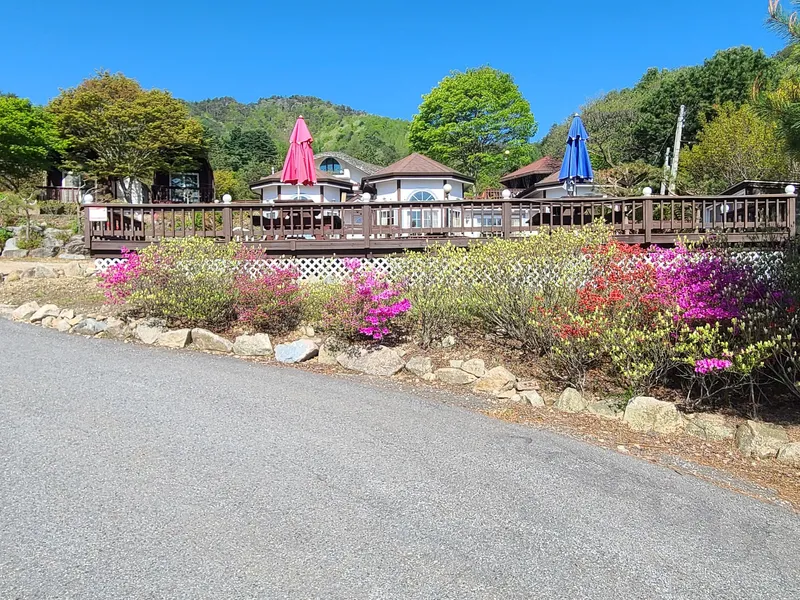 [Pyeongchang] Log M2 Room Private Duplex Pool A forest garden inside me 19