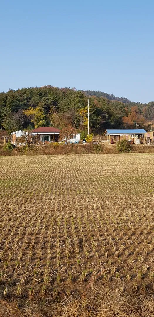 [전남 고흥] 해뜨는봄봄 23