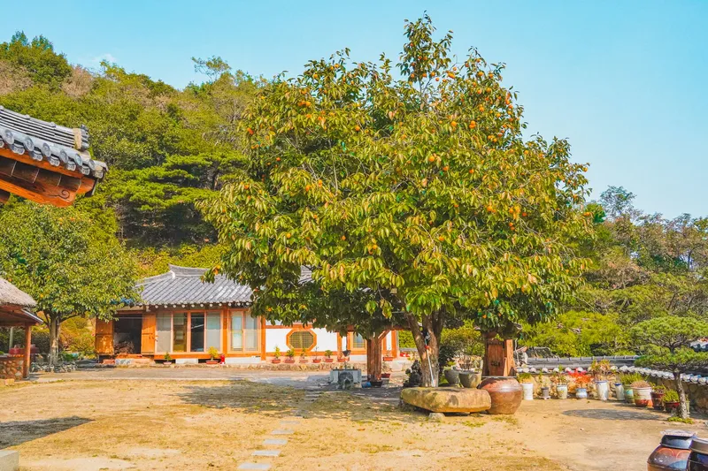 [Ulju, Ulsan] A detached Hanok with a mountain view, lawn, and private tea room 5