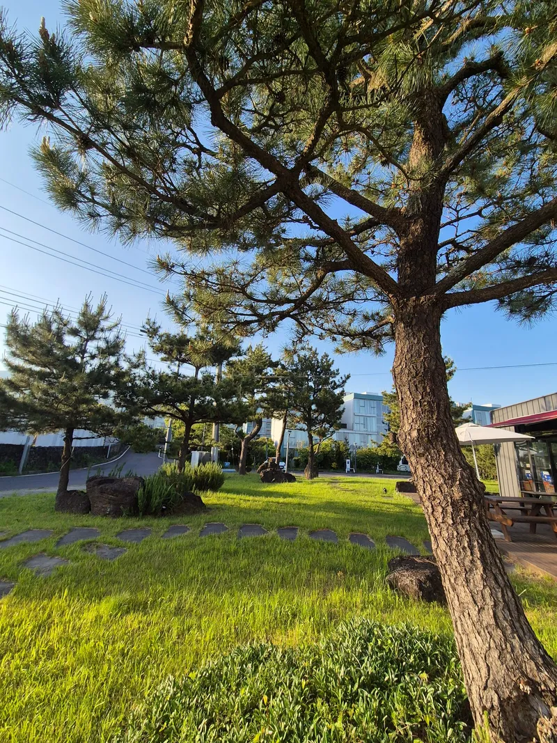 [Topyeong-dong, Seogwipo] (7 days or more) STAY Little Forest #Terrace #CookingStay [Seogwipo] 74