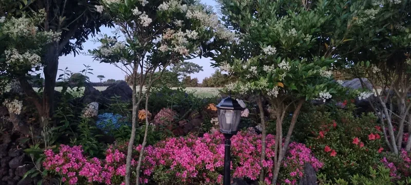 [Gujwa, Jeju] European-style accommodation, pet-friendly one-room duplex Blue Jeju #Large dogs allowed 32