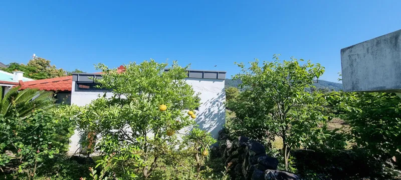 [서귀포 안덕][제주 대평리 사소한 골목]정원이 있는 돌담 독채 13
