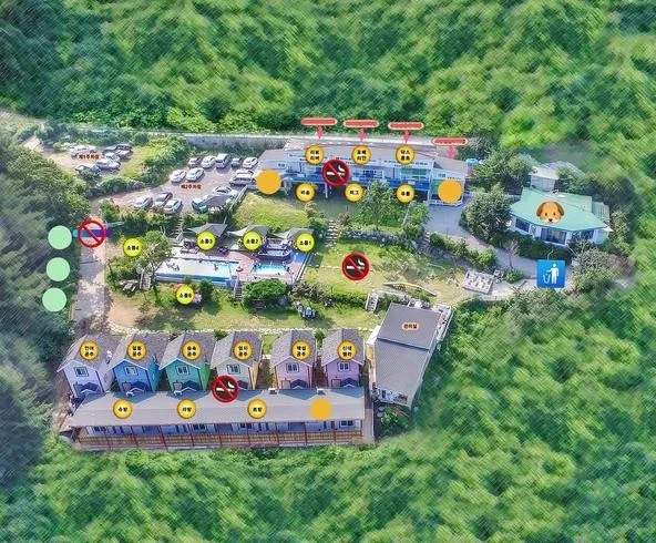 [Gapyeong] The best healing dog pension with beautiful nature #Shih Tzu 9