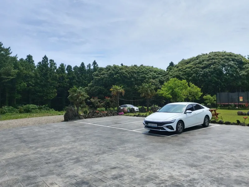 [Gujwa, Jeju] Jeju Shinsang Pension 102 with a beautiful garden and forest 17