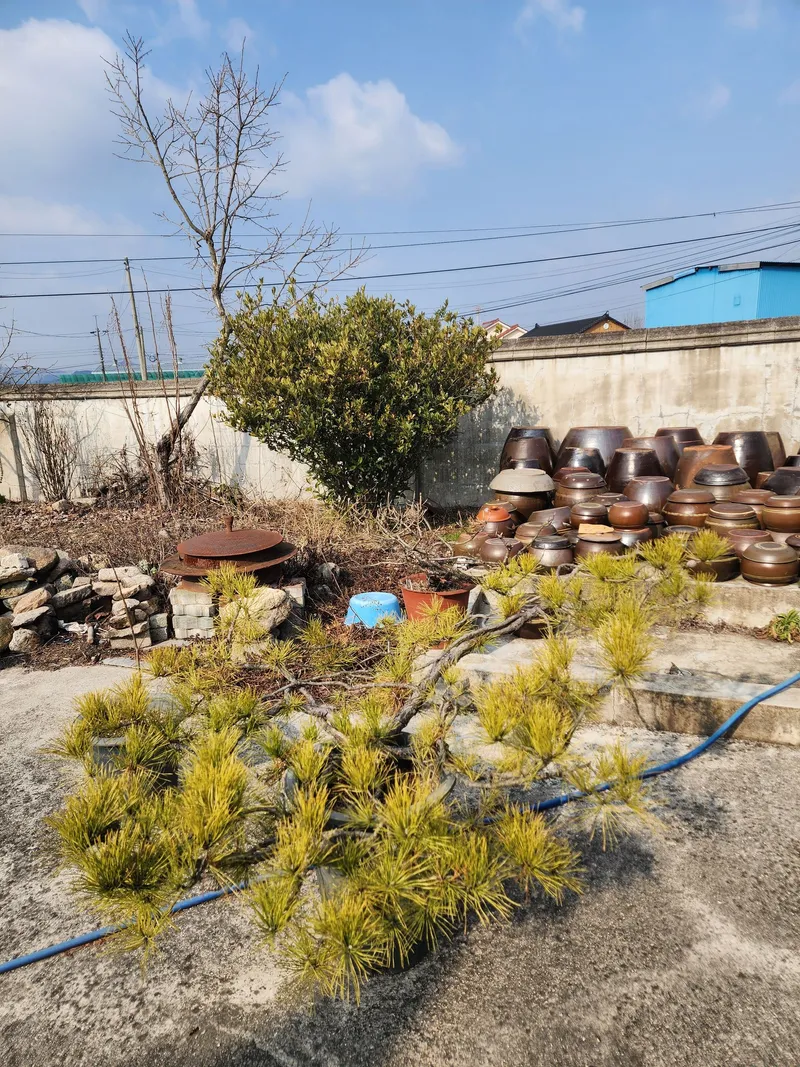 [Gyeongju] Modern Hanok (courtyard, parking, barbecue) 33