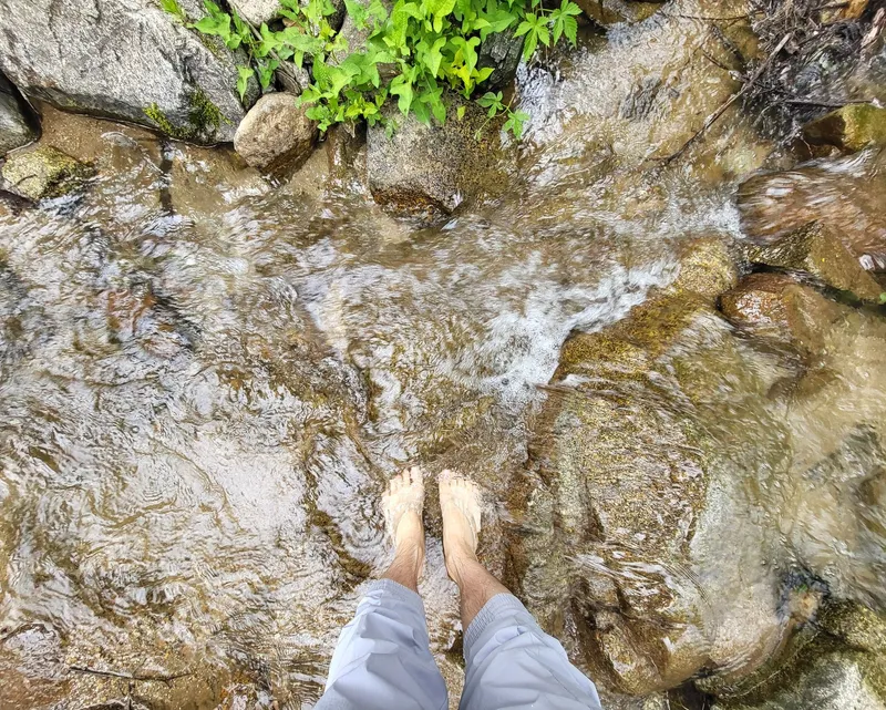 [Hoengseong] Flow + Mindfulness with Negative Ions in the Forest #DogFriendly 20