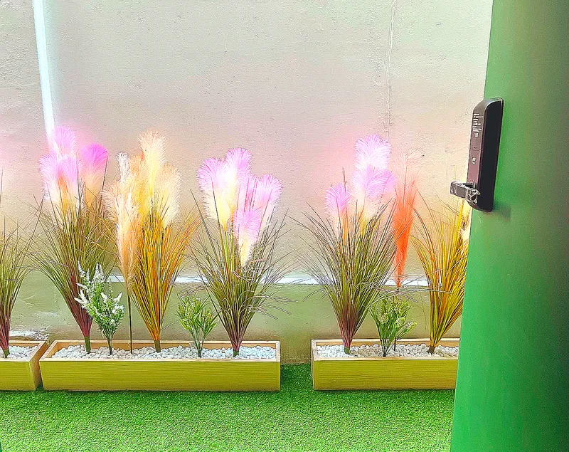 [Gangdong, Seoul] Willow Wish 50