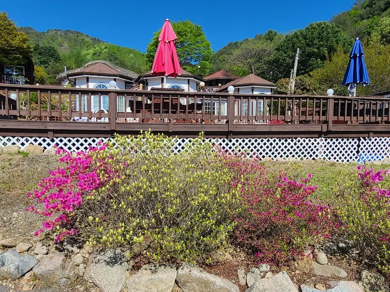 [Pyeongchang] Log M2 Room Private Duplex Pool A forest garden inside me 4