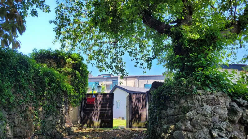 [Aewol, Jeju] Lawn yard stone wall detached house annex #Pets allowed #Early check-in 22