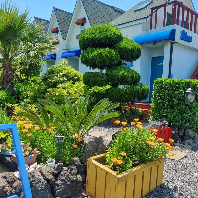 [Gujwa, Jeju] European-style accommodation, pet-friendly one-room duplex Blue Jeju #Large dogs allowed 42