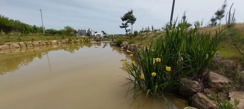 [Buyeo] Pond view farm stay where you can experience the countryside 29