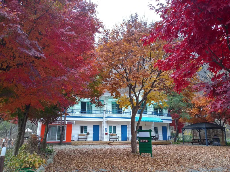 [Chuncheon] Quiet 2-story one-room stay B with forest and water and camping 5