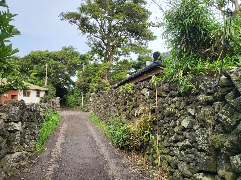 [Hallim, Jeju] A country stone house with a pretty yard and rafters 77