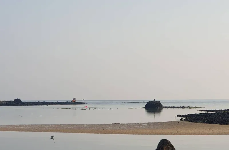 [제주 조천] 걸어서 30초면 바다~ 독채 14