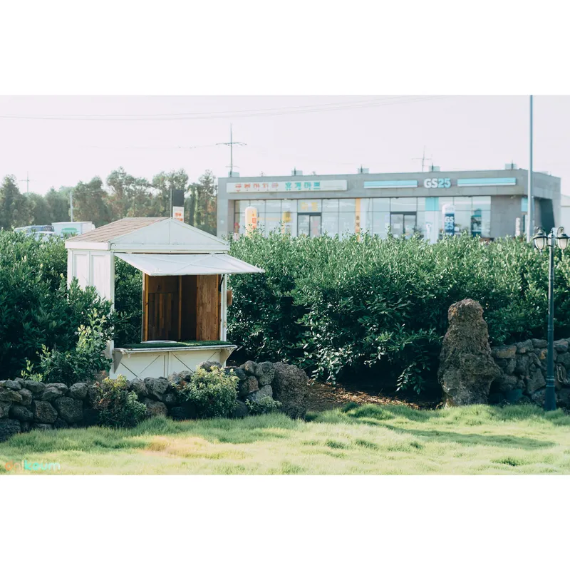 [Jocheon, Jeju] 13-pyeong duplex one-room stay #Tangerine field view #Natural room (utilities included) 49