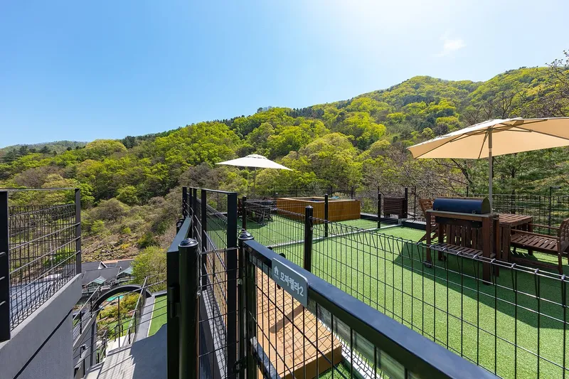 [Gapyeong] Pet-friendly pension with private terrace and private pool #Mozzarella2 12