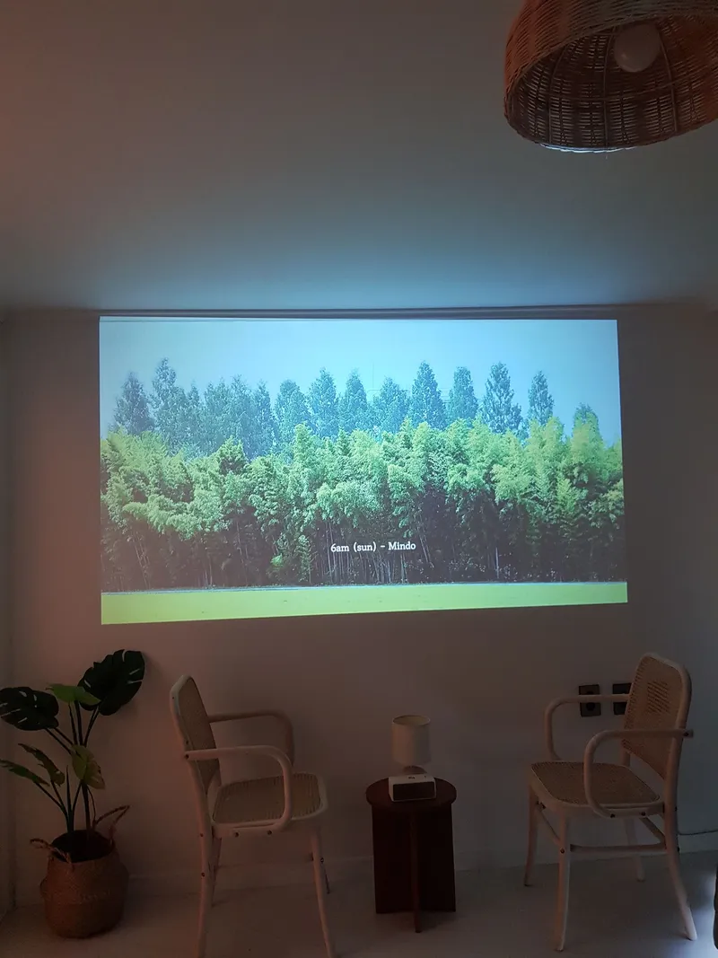 [강원 강릉] 바다근처 숲세권 소소하우스/감성템 빔프로젝터 19