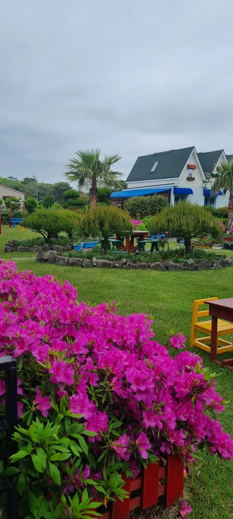 [Gujwa, Jeju] European-style accommodation, pet-friendly one-room duplex Blue Jeju #Large dogs allowed 51