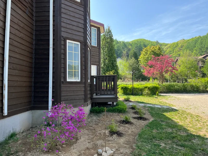 [Pyeongchang] Wildflower Friends_Bongpyeong Forest Complex One-Room 101 14