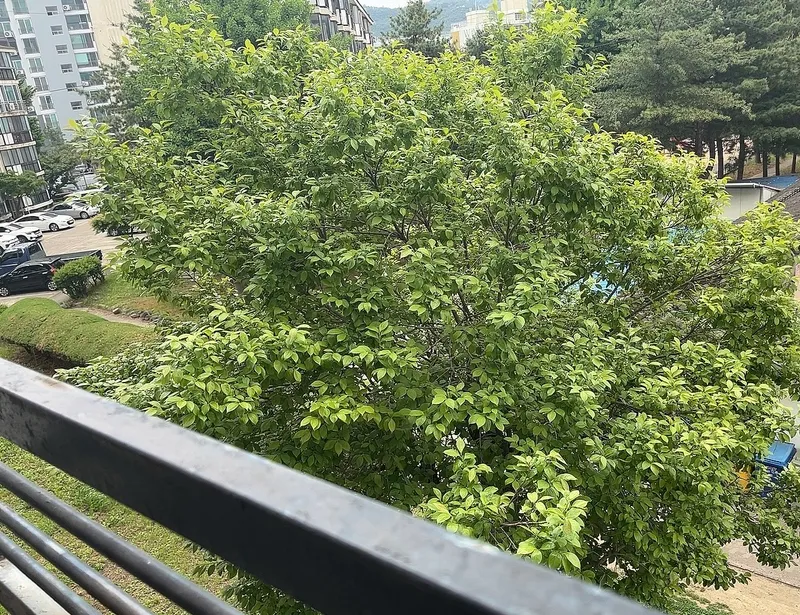 [Gyeongju] A cozy two-room apartment like home in Hwangseong-dong 8