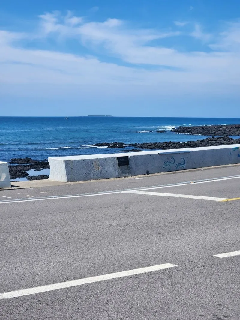 [Namwon, Seogwipo] 30 seconds walk from the beach # Terrace restaurant # 1st class kitchen 26