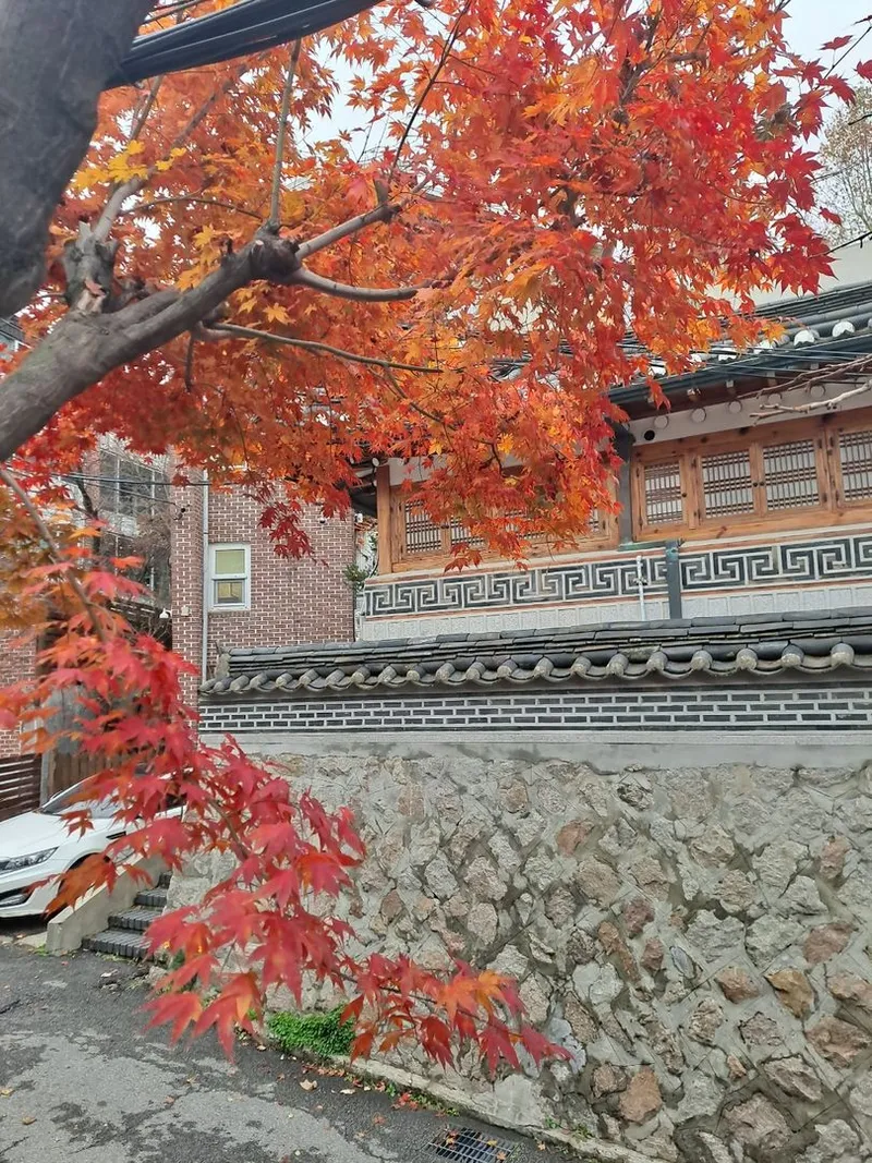 [서울 종로][종로 부암동]마당 이쁘고 루프탑에서 북악산뷰 (3층전체) 34