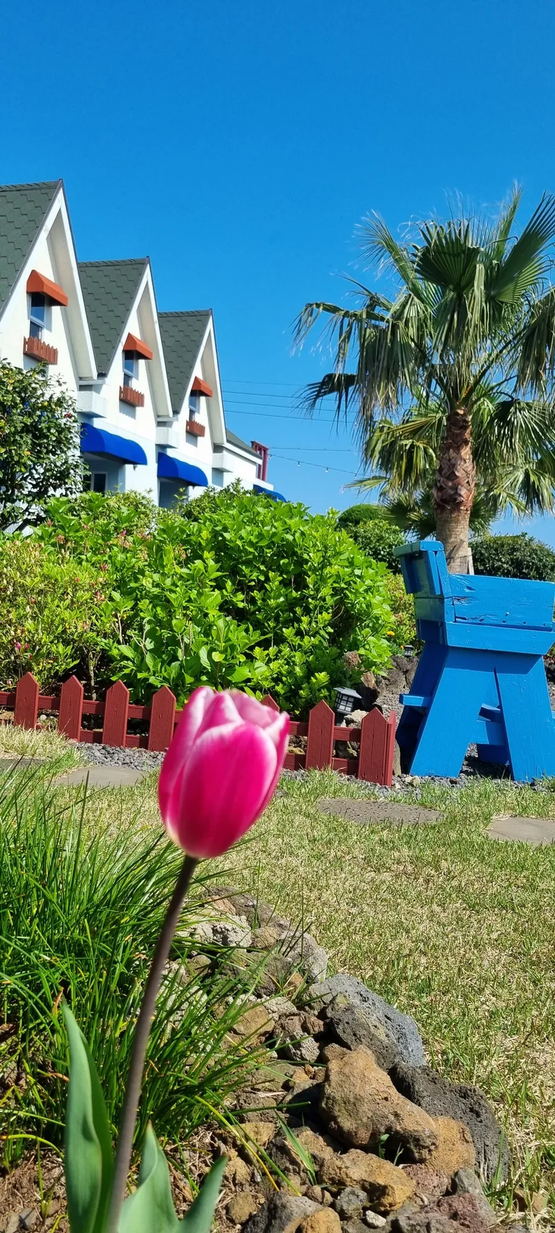[Gujwa, Jeju] European-style accommodation, pet-friendly one-room duplex Blue Jeju #Large dogs allowed 58