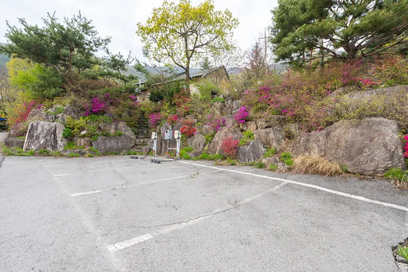 [경기 가평] 개별테라스와 개별풀장이 있는 애견동반펜션 #에멘탈3 35