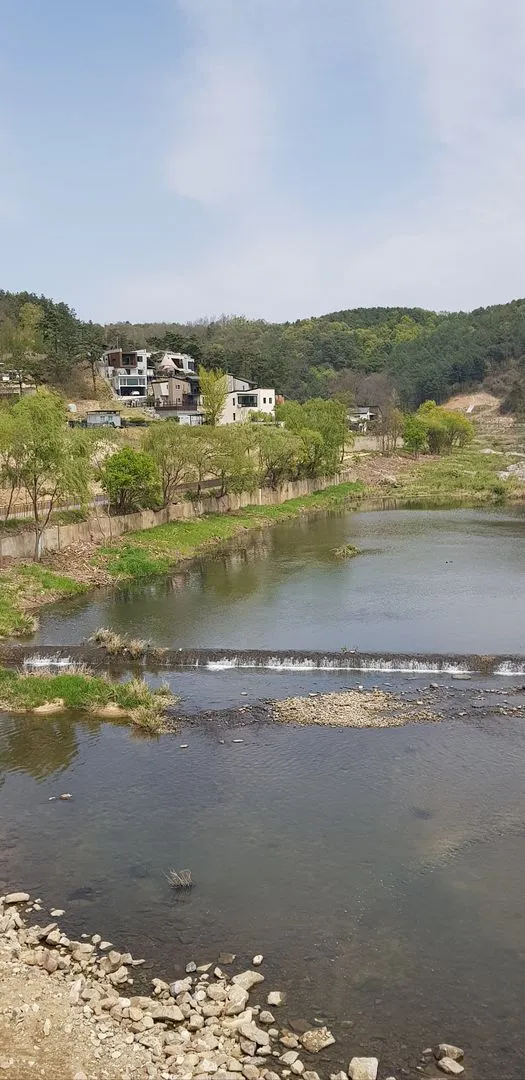 [강원 횡성] 섬강 하늘아래ㅡ그림같은 섬강과 산과 하늘을 바라보며 삶의 여유를 가지세요 53