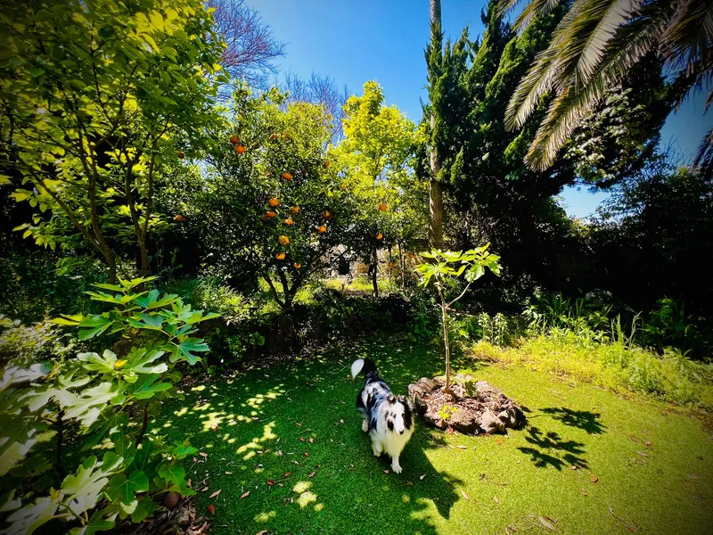 [Aewol, Jeju] #Best location #Large garden #Pets welcome #Value for money #Emotional accommodation 29