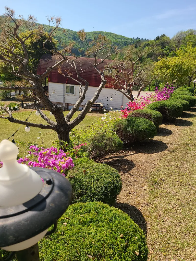 [강원 평창] 캐빈B:넓은 잔듸 위에 동화속의예쁜집청정지역 6
