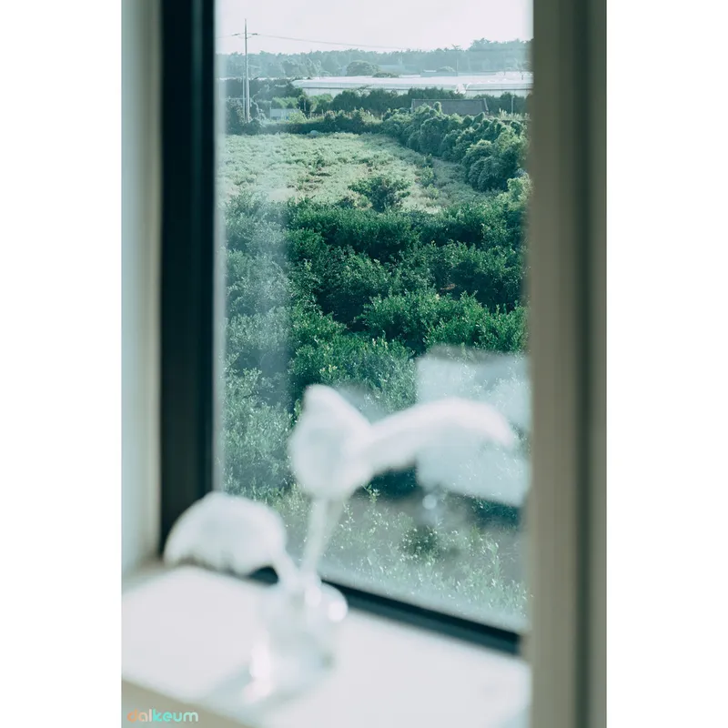 [제주 조천] 13평 복층원룸 스테이 #감귤밭뷰 #화이트룸 (공과금포함) 25