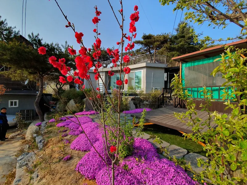 [Ganghwa, Incheon] Ganghwa-gun Treasure Island Seokmodo Independent Country House Ocean View Walking Trail and Near Bomunsa Temple 28