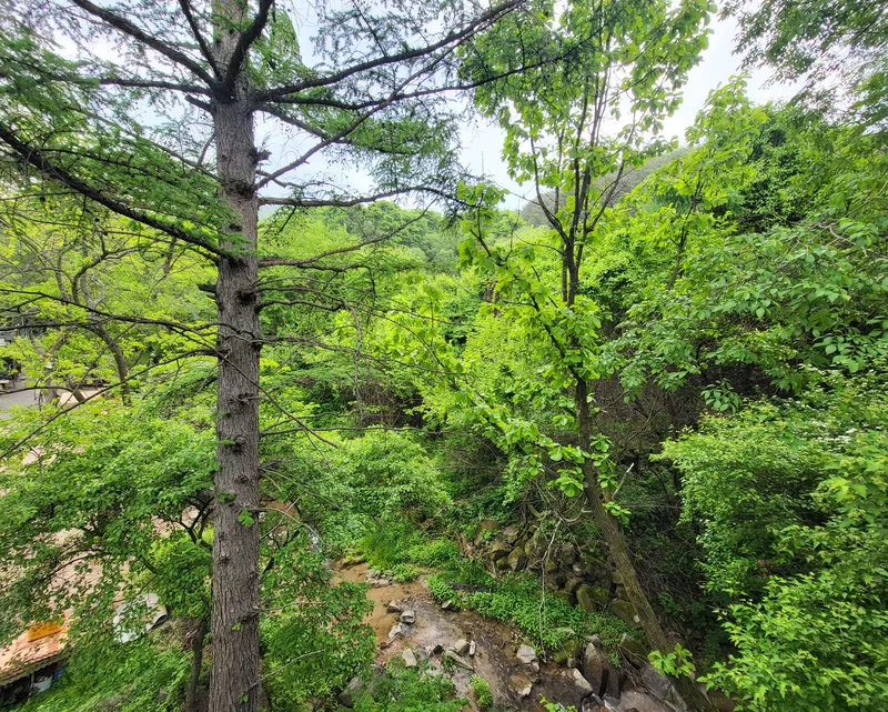 [강원 횡성] #패밀리x패밀리#숲속계곡뷰#가족이 함께 사용하기 좋은 숙소 18